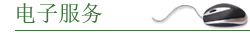 电子服务